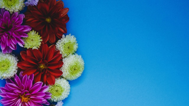 投篮成了当 投篮成了当