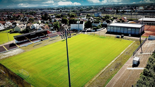 场上的焦点 场上的焦点