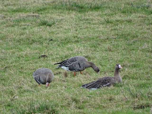 调整心态 调整心态