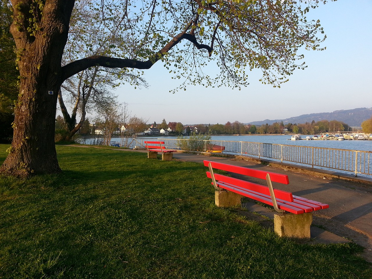 差距依然存 差距依然存